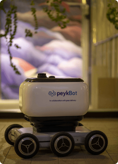 MK Citizen , peykbot , delivery in london