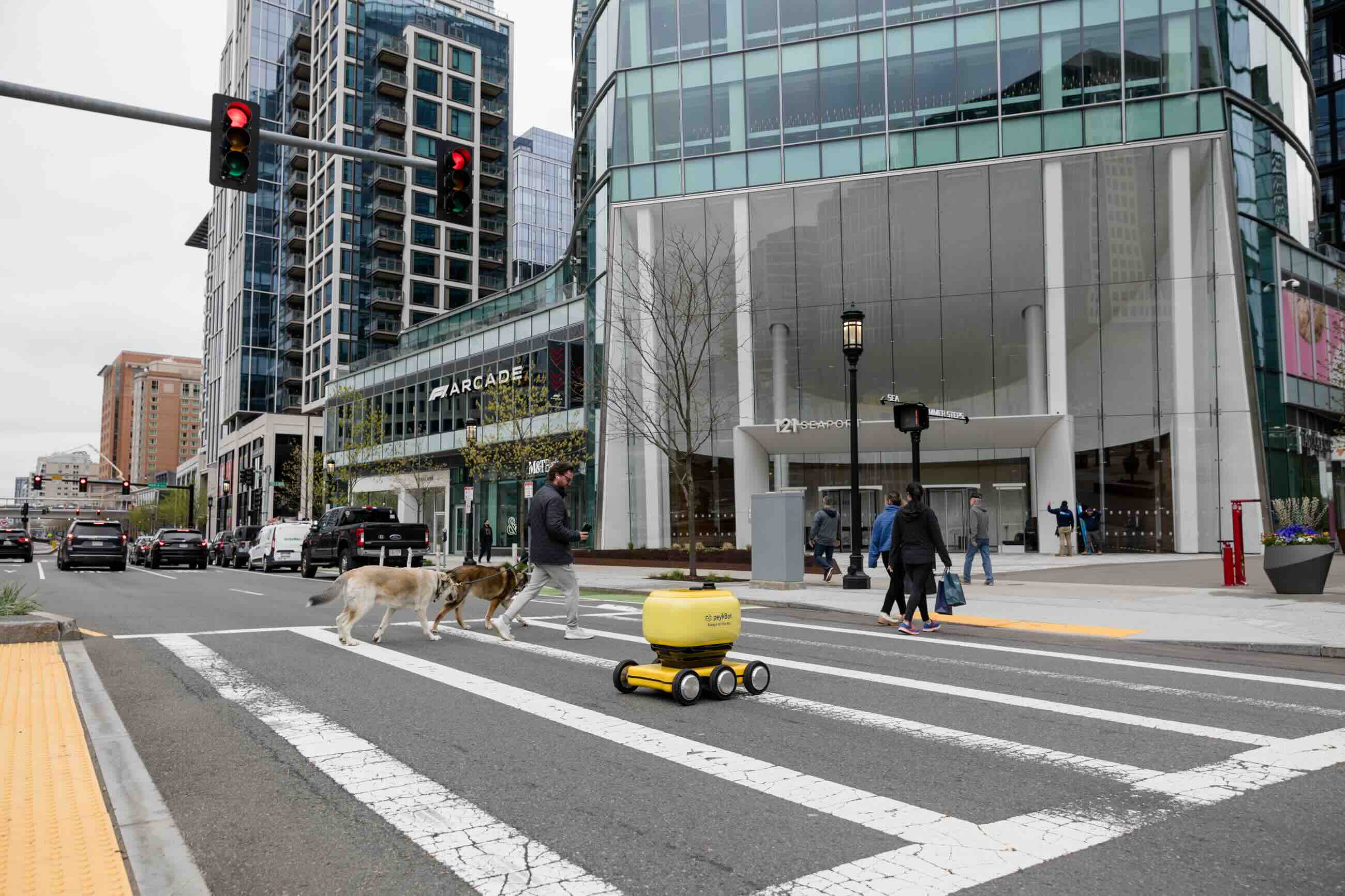 Peykbot in usa