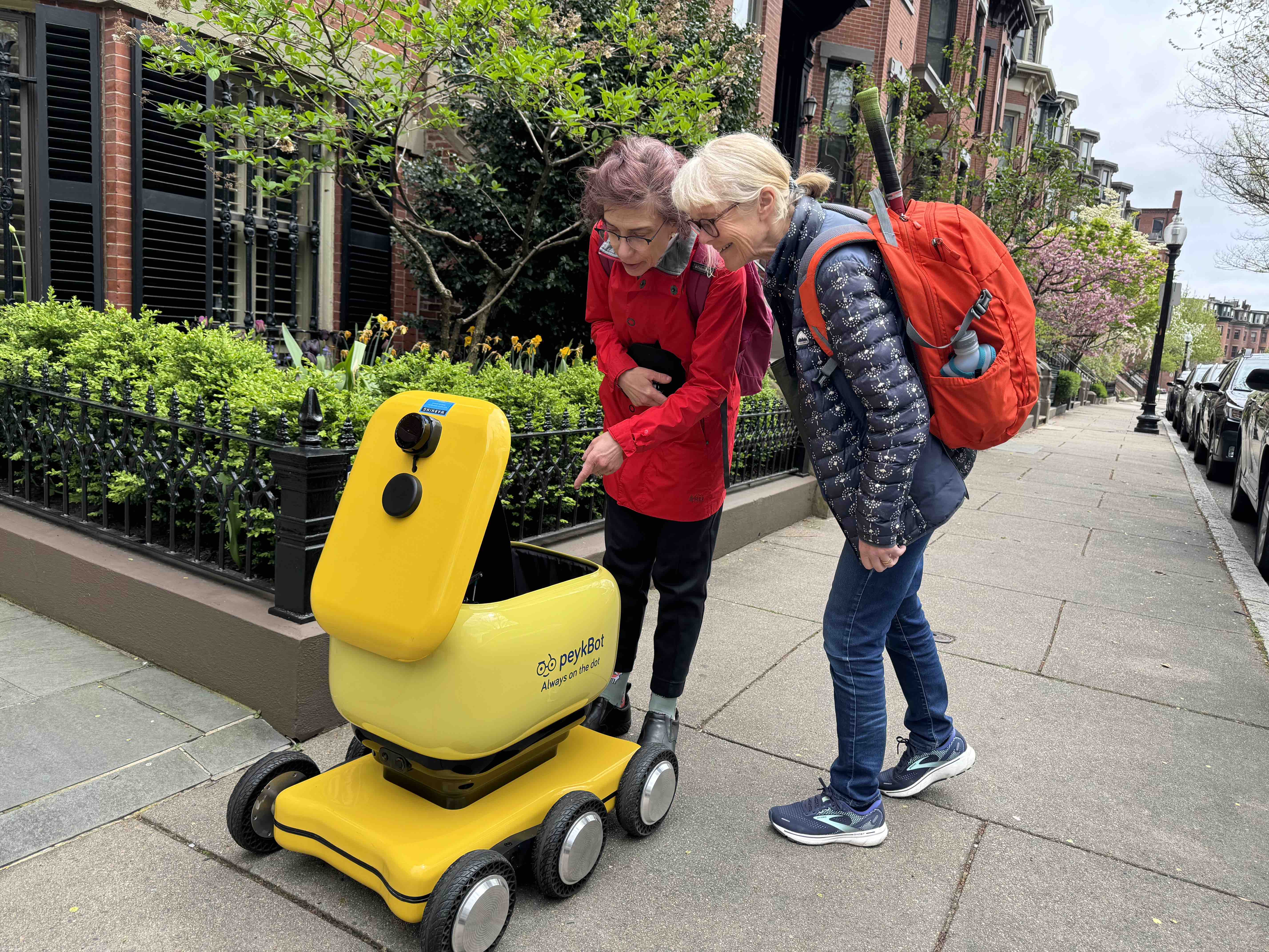 Peykbot in uk
